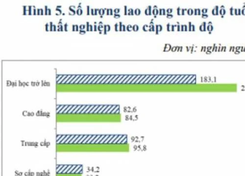 Thanh niên thất nghiệp giảm, cử nhân đại học thất nghiệp tăng