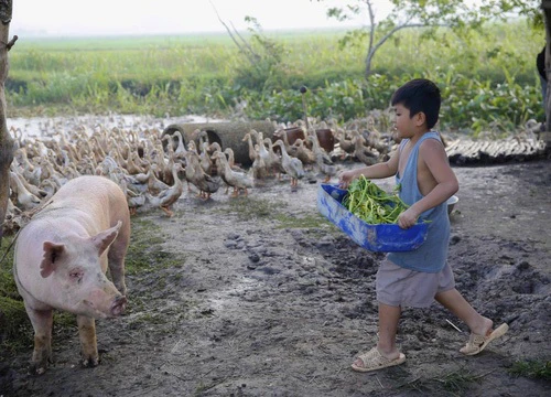 "Khi con là nhà"- đạo diễn Vũ Ngọc Đãng làm khán giả khóc nghẹn