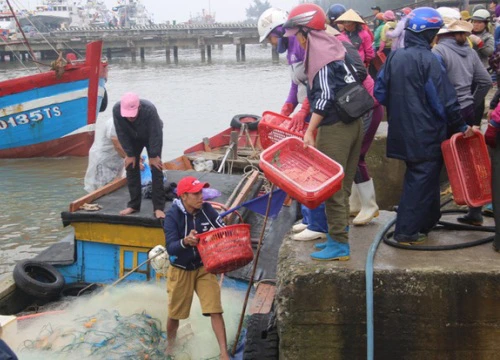 Ngư dân phấn khởi vươn khơi đánh bắt hải sản đầu năm