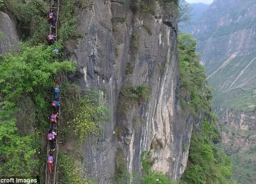 Sau vụ nghệ sĩ rơi từ tầng 62, vẫn có người TQ mạo hiểm thế này