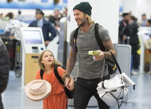 Thương bố thật nhiều, bé Harper chẳng thể rời mắt khỏi David Beckham tại sân bay