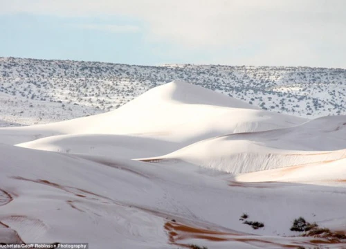 Tuyết rơi dày bao phủ sa mạc Sahara