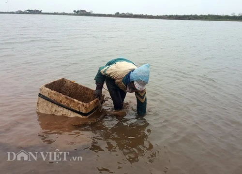 Lạnh cắt da cắt thịt, ngư dân ngâm mình hàng giờ dưới nước mưu sinh