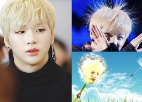 Tóc bỗng dựng ngược trên sân khấu, "center quốc dân" Kang Daniel thành nguồn cảm hứng chế ảnh bất tận