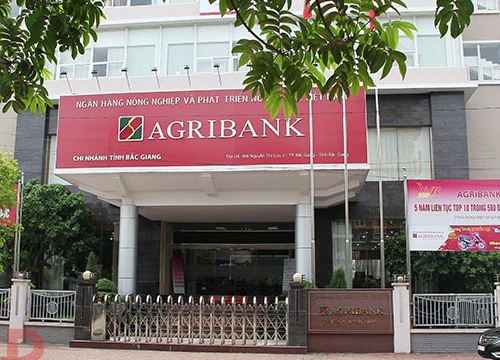 Một đối tượng táo tợn dùng súng cướp tiền tại Agribank Bắc Giang