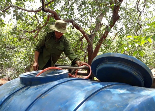 Nam Bộ sẽ ít mưa trong tháng 2