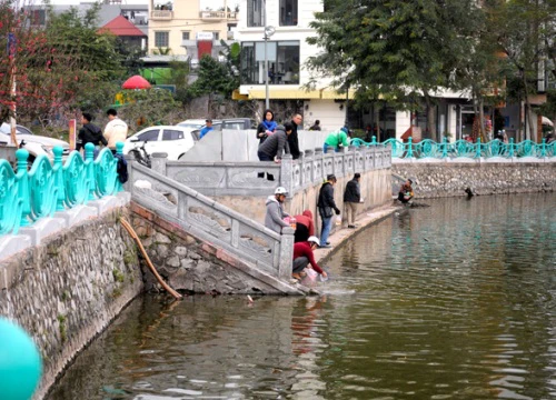 Cảnh đối lập ngày hàng vạn người thả cá chép tiễn ông Công ông Táo