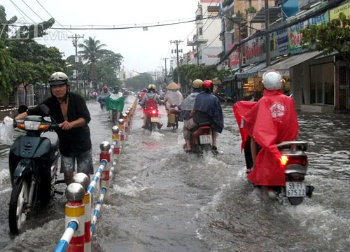 Kiều bào TP.HCM không đợi mọi việc thật tốt đẹp rồi mới trở về