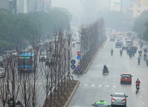 Thả thiên nga, trồng phong lá đỏ: Hà Nội sắp biến thành châu Âu?