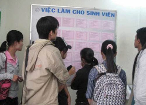 Bị tước quyền tuyển sinh nếu không công bố tỉ lệ sinh viên có việc làm