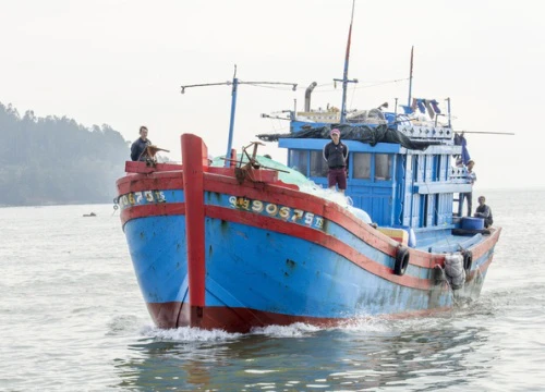 Ngư dân trắng tay vì gặp nạn trong chuyến biển cuối năm