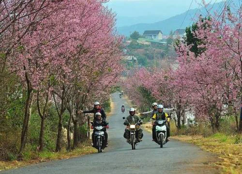 Những điểm du xuân nổi tiếng chỉ muốn "quẩy" luôn dịp Tết