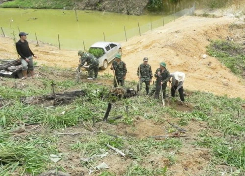 Cam đặc sản Nghệ An "bén duyên" đất Lào