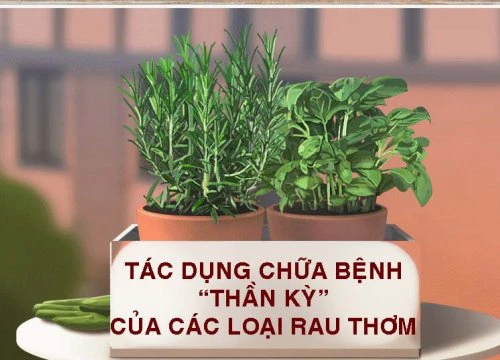 Tác dụng chữa bệnh thần kỳ của các loại rau thơm