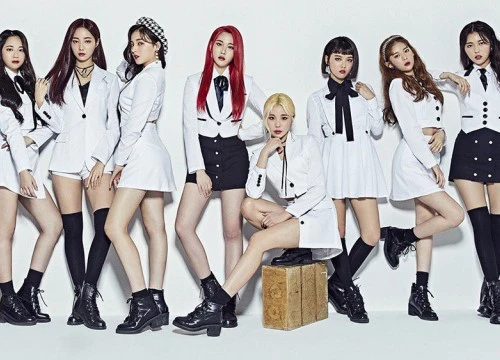 Công ty MOMOLAND phủ nhận cáo buộc đăng chứng từ giả của netizen