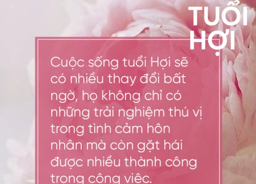 Khai niên hoan hỉ, 3 con giáp này sẽ đại cát đại lợi trong năm Tuất, người người nhà nhà ấm no hạnh phúc