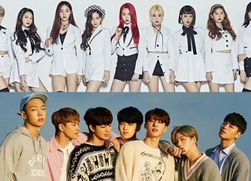 Thua iKON với điểm số gần chạm đáy, MOMOLAND bị netizen cười "hô hố" dè bỉu