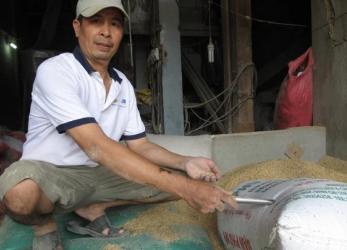 Vụ tìm chủ nhân số vàng trong bao lúa: Đã có người đến nhận