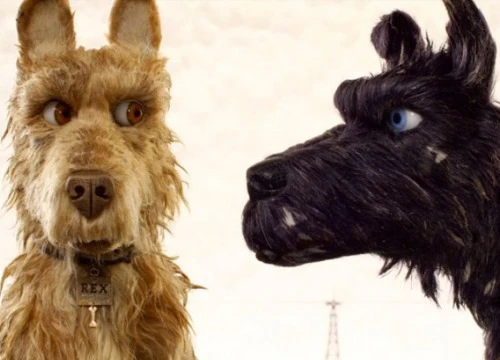 Đạo diễn của "Isle of Dogs" gây tranh cãi vì bị cho rằng làm phim về... chó để khắc họa văn hoá phương Đông