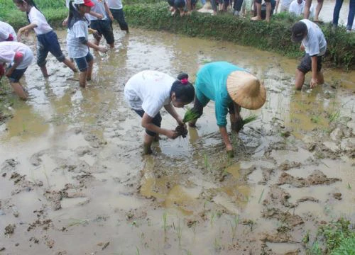 Du lịch nông nghiệp: "Mỏ vàng" chờ khai phá