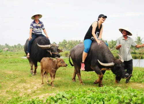 Làm gì để du lịch nông nghiệp phát triển đột phá?