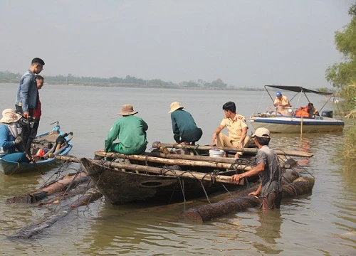 Tan nát rừng phòng hộ Sông Kôn:Xử lý nghiêm kẻ tiếp tay cho lâm tặc