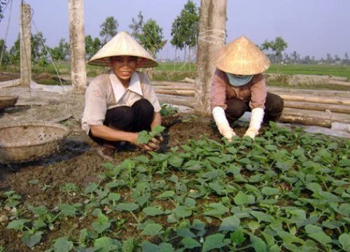 Tăng quyền, lợi ích cho phụ nữ nông thôn