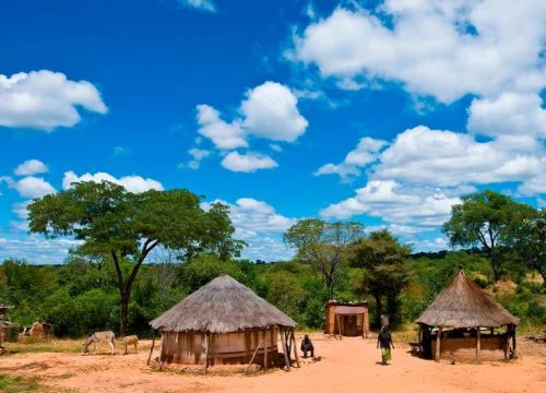 Bắt giữ hai phụ nữ ăn thịt người ở Zimbabwe