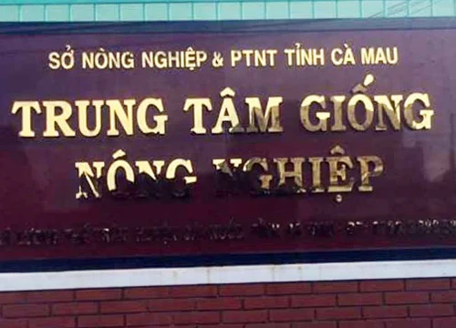 Cà Mau: Đột nhập Trung tâm giống lấy trộm hơn 100 triệu đồng