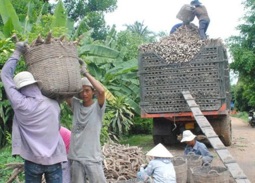 Xác minh thông tin tố CSGT ép nông dân bán nông sản giá rẻ