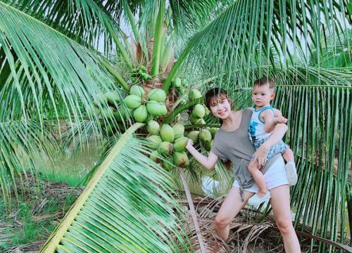 Gia đình Lý Hải, Minh Hà đưa con về Tiền Giang đi cầu dừa, hái trái cây