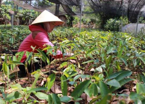 Giáo viên Đắk Lắk tố hiệu trưởng 'ăn chặn' tiền lương