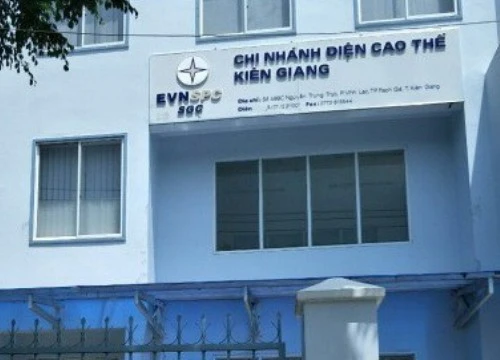 Tạm đình chỉ công tác giám đốc chi nhánh điện cao thế ở Kiên Giang