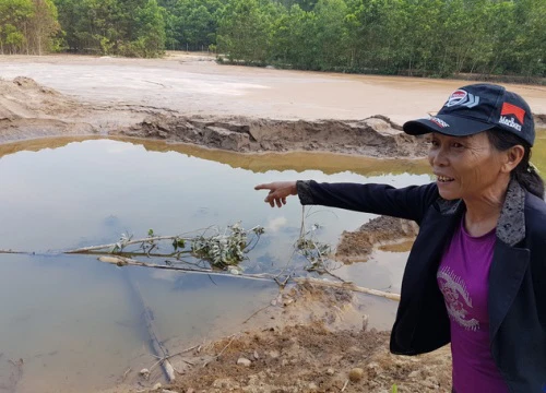 Vỡ đập mỏ vàng Bồng Miêu, cá dưới sông chết sạch