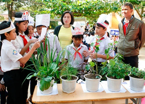 Đăk Glei: Công nhận chuyên hiệu rèn luyện đội viên