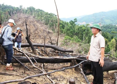 Kiểm điểm, cách chức nhiều lãnh đạo, cán bộ kiểm lâm trong vụ phá rừng Tiên Lãnh