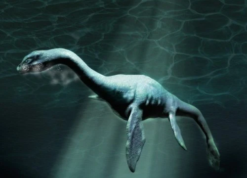 "Quái vật hồ Lochness" dạt bờ ở Mỹ