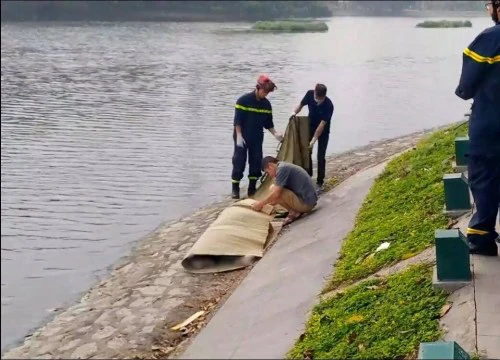 Hà Nội: Hai nam sinh tử vong trong công viên Thống Nhất