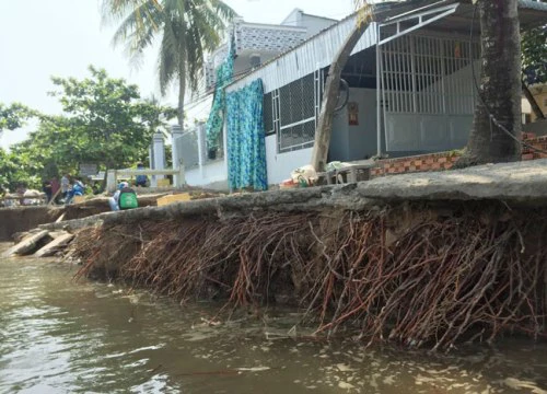 Cần Thơ: Sạt lở ở khu vực đang thi công dự án kè trên 400 tỷ