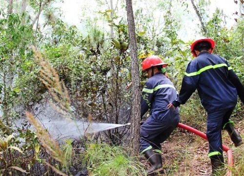 Cháy dữ dội trên núi, hàng chục cảnh sát lao vào dập lửa