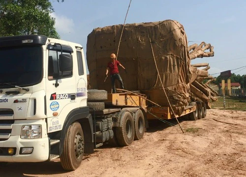 "Quái thú" lọt nhiều tỉnh thành: Tài xế "dò" CSGT bằng cách... nháy đèn?