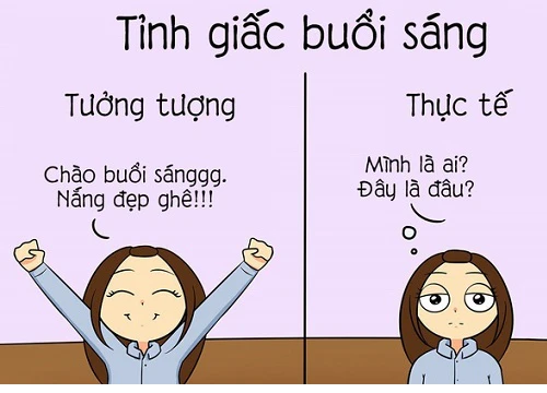 Bộ tranh: Cuộc sống Đại học đã phũ phàng với chúng ta như thế nào?