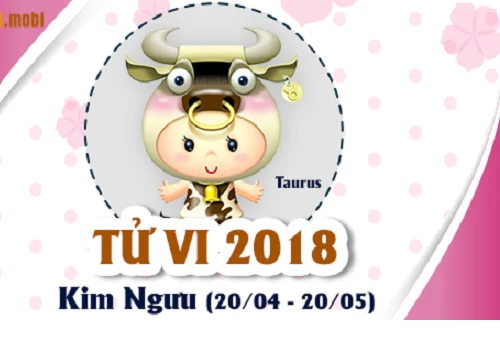 Tử vi năm 2018 về tình hình học tập và tài chính của cung Kim Ngưu