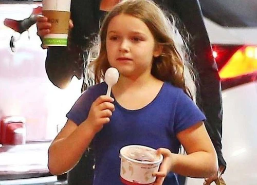 Ngày ngày được đưa đi ăn, bé út Harper Beckham dần trở nên "ú nà ú nần" nhất gia đình