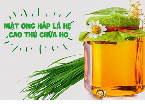 Bài thuốc dân gian trị ho hiệu quả cho bà bầu.