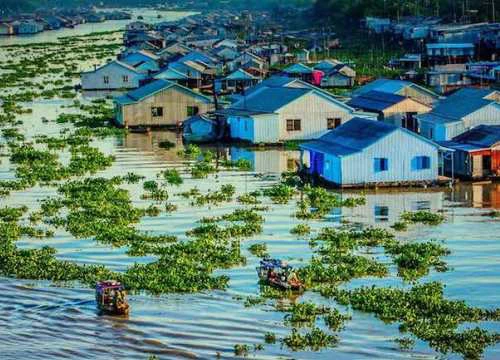 Đến An Giang dạo rừng tràm, tham quan làng nổi, chợ Châu Đốc