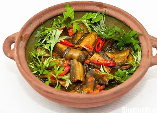 Món ăn bài thuốc từ con lươn