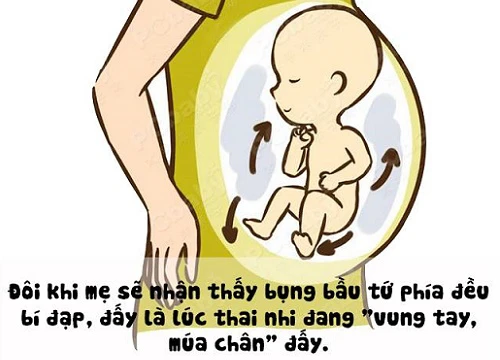 Nhìn bụng bầu đoán tư thế chuyển động của thai nhi