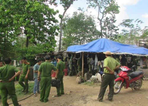 Bộ đội Biên phòng lên tiếng vụ gỗ lậu Phượng "râu"