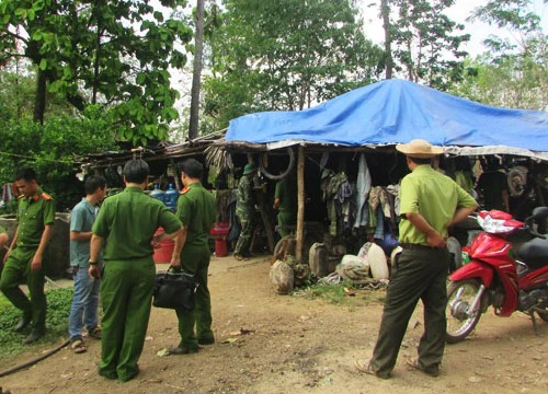 Bộ Tư lệnh Biên phòng kiểm tra khu vực bắt gỗ của Phượng "râu"